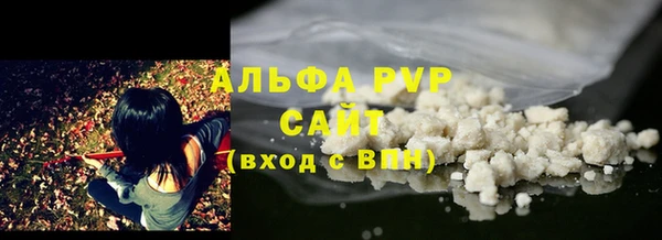 шишки Дмитровск