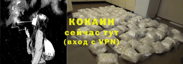 бошки Дмитриев