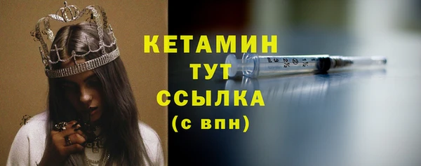 шишки Дмитровск