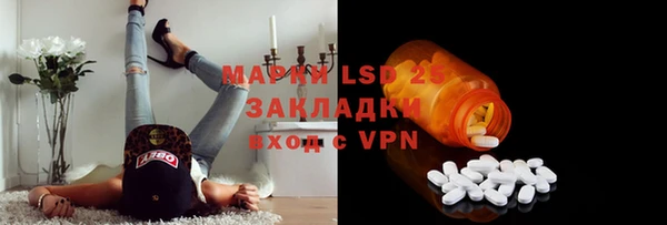 шишки Дмитровск