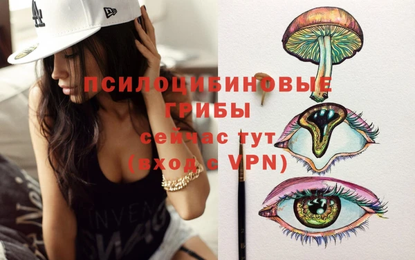 шишки Дмитровск