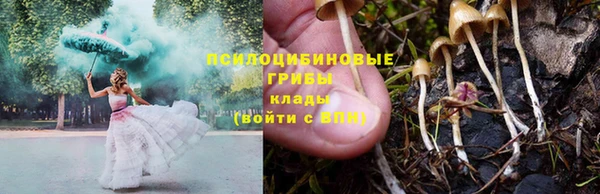бошки Дмитриев