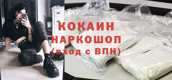 шишки Дмитровск