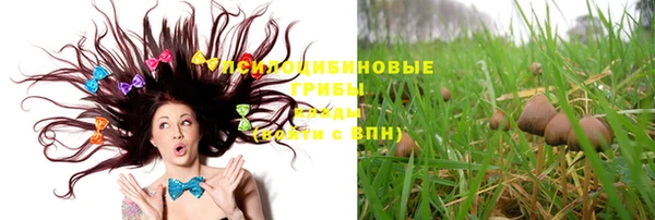 бошки Дмитриев